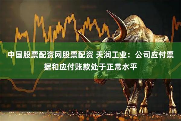 中国股票配资网股票配资 天润工业：公司应付票据和应付账款处于正常水平