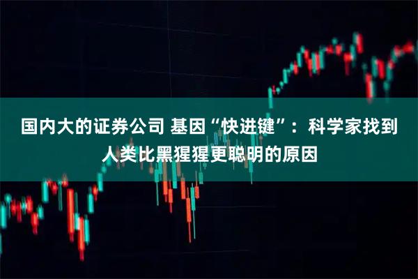 国内大的证券公司 基因“快进键”：科学家找到人类比黑猩猩更聪明的原因