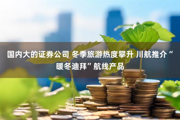 国内大的证券公司 冬季旅游热度攀升 川航推介“暖冬迪拜”航线产品